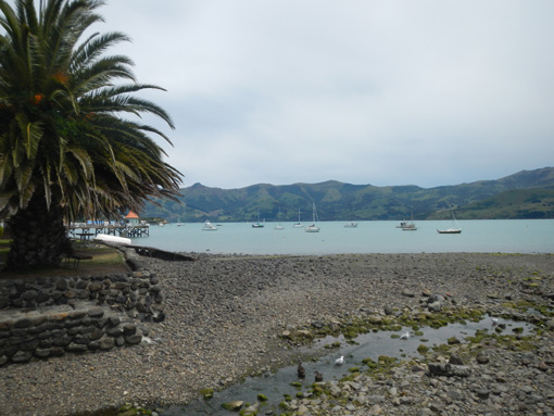 Akaroa 01