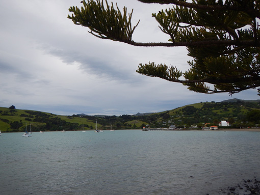 Akaroa 04