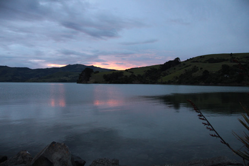 Akaroa 06