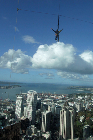 Auckland_17