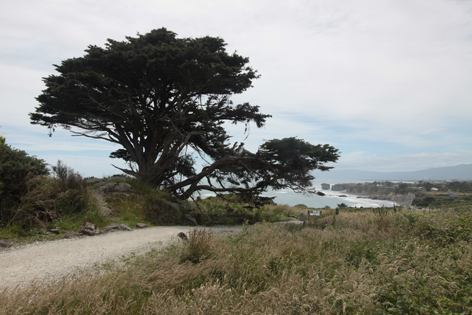 Cape_Foulwind_04