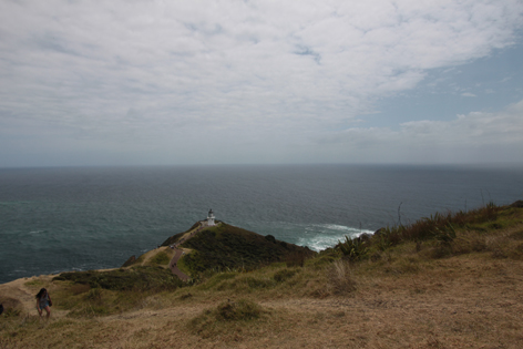Cape_Reinga_13