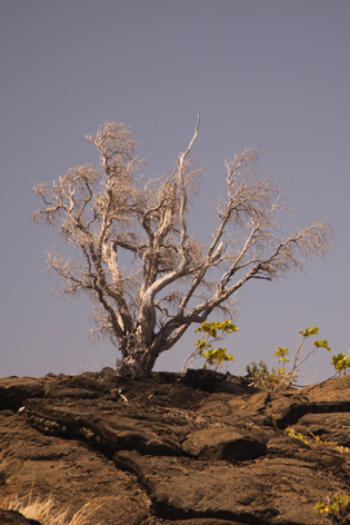 Chain_Craters_Road_05