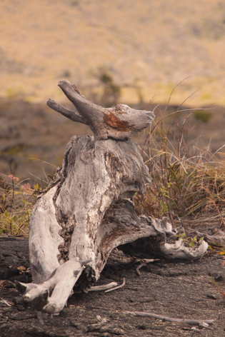 Chain_Craters_Road_07