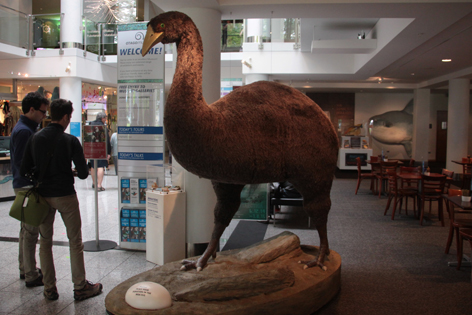 Otago Museum 01