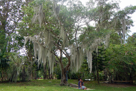 Fahrt_Koulnoue_Village_02