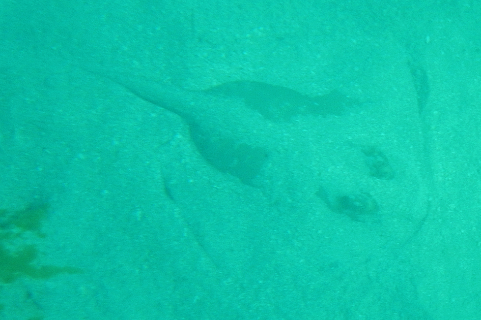 Ha'apai_Sandy_Beach_05