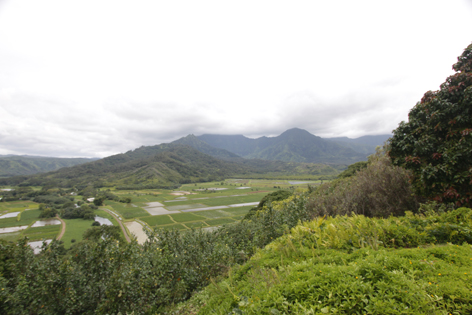 Kauai_Nordteil_15