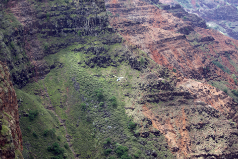 Kauai_Waimea_Canyon_10