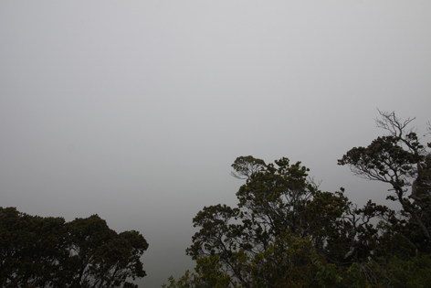 Kauai_Waimea_Canyon_12