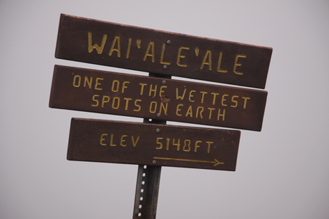 Kauai_Waimea_Canyon_14