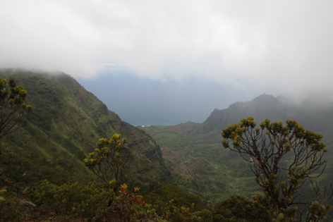 Kauai_Waimea_Canyon_15