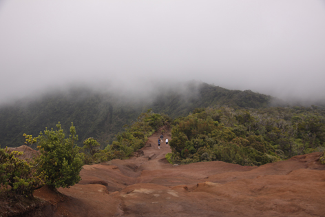 Kauai_Waimea_Canyon_16