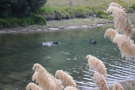 Lake_Waikaremoana_03