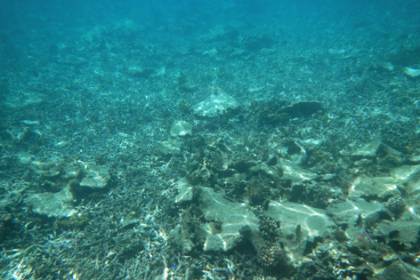 Litia_Sini_Beach_Resort_07