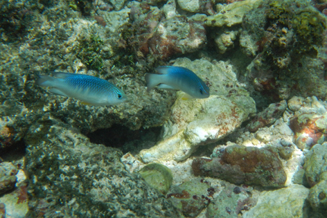 Litia_Sini_Beach_Resort_08