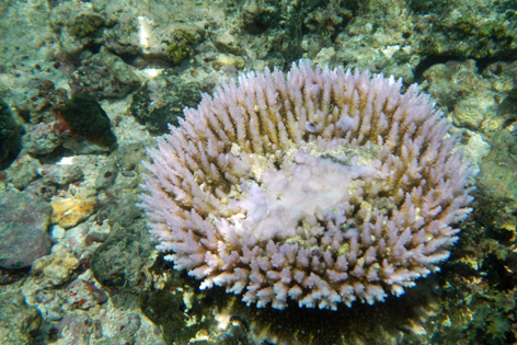 Litia_Sini_Beach_Resort_09