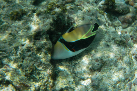 Litia_Sini_Beach_Resort_10