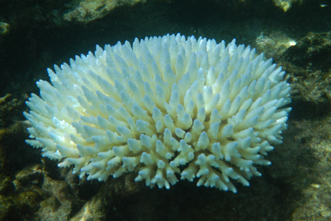 Litia_Sini_Beach_Resort_11