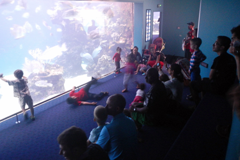 Noumea_Aquarium_04