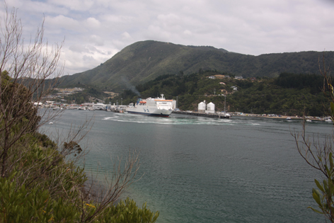 Picton_08
