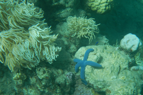 Ra_Divers_Snorkel_06