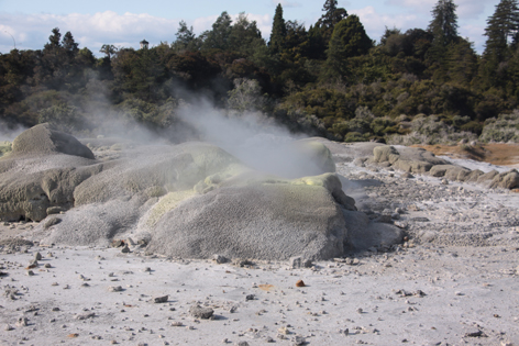 Rotorua_08