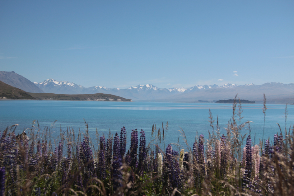 Lake Tekapo