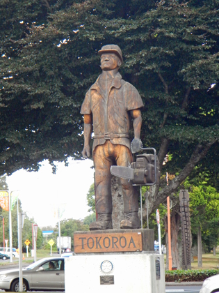 Tokoroa_01