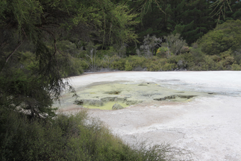 Wai_O_Tapu_02