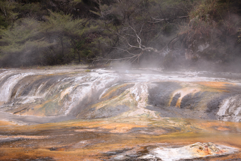Waimangu_06