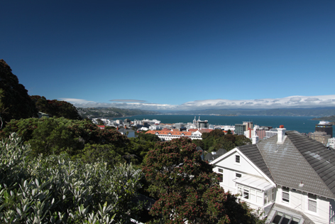 Wellington_11